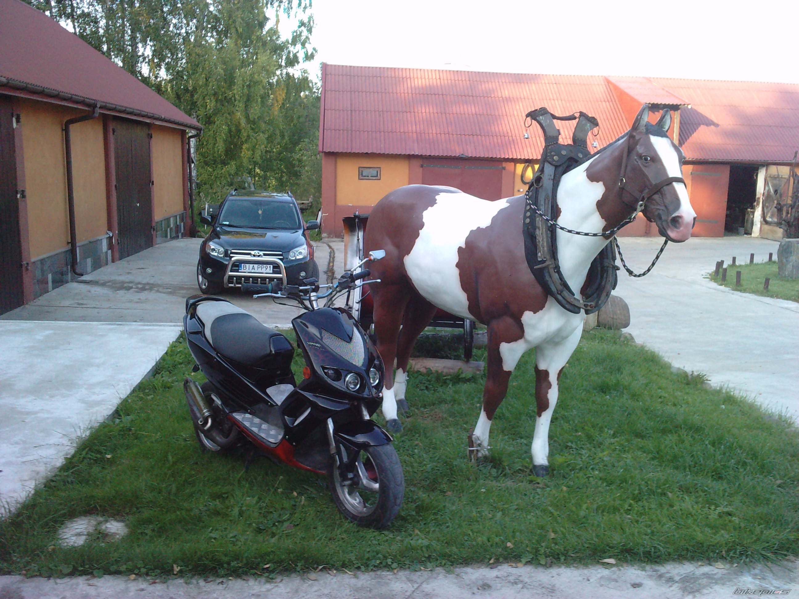 Photo 2288780