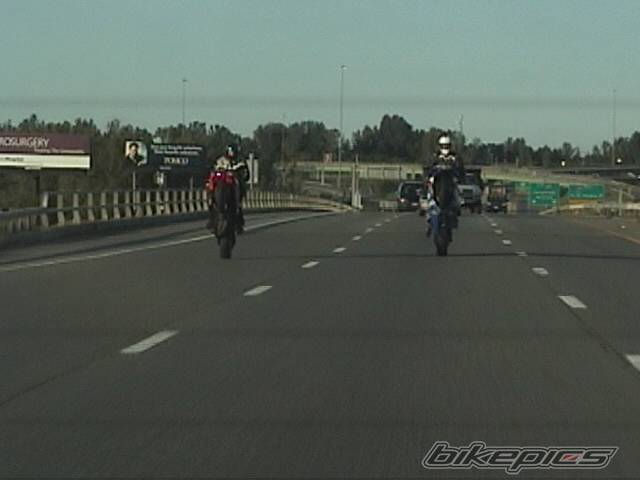 Photo 228880