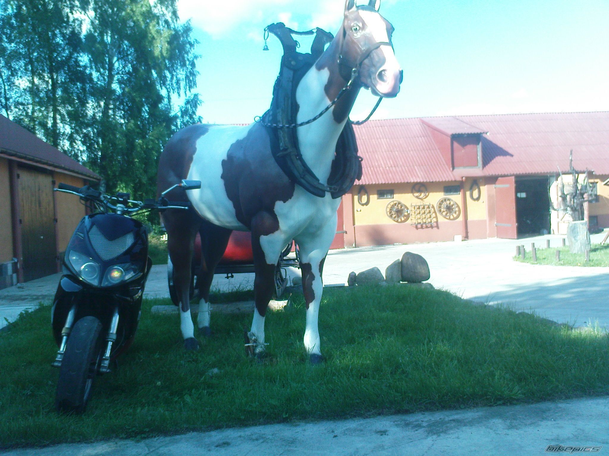 Photo 2288825