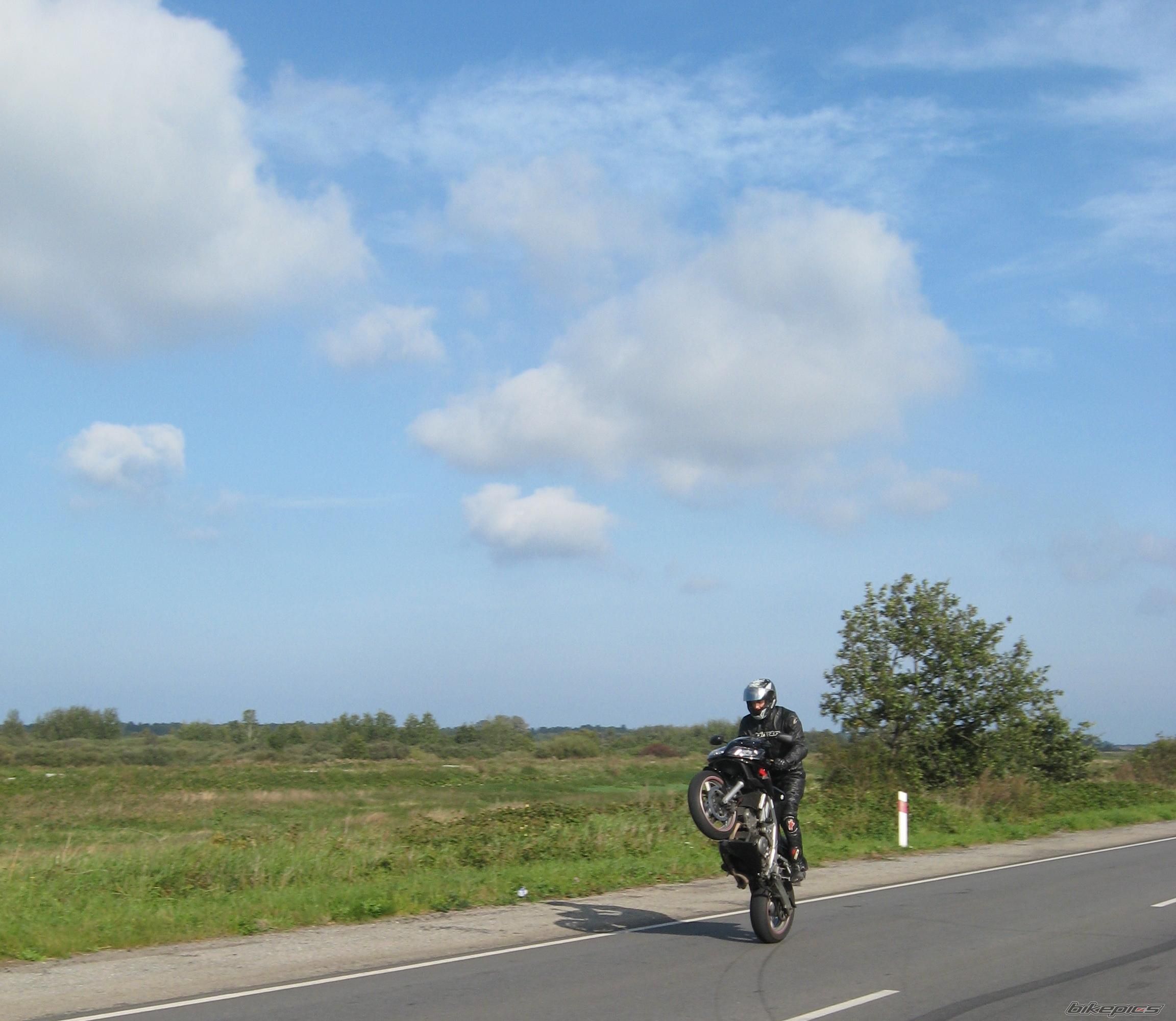 Photo 2288855
