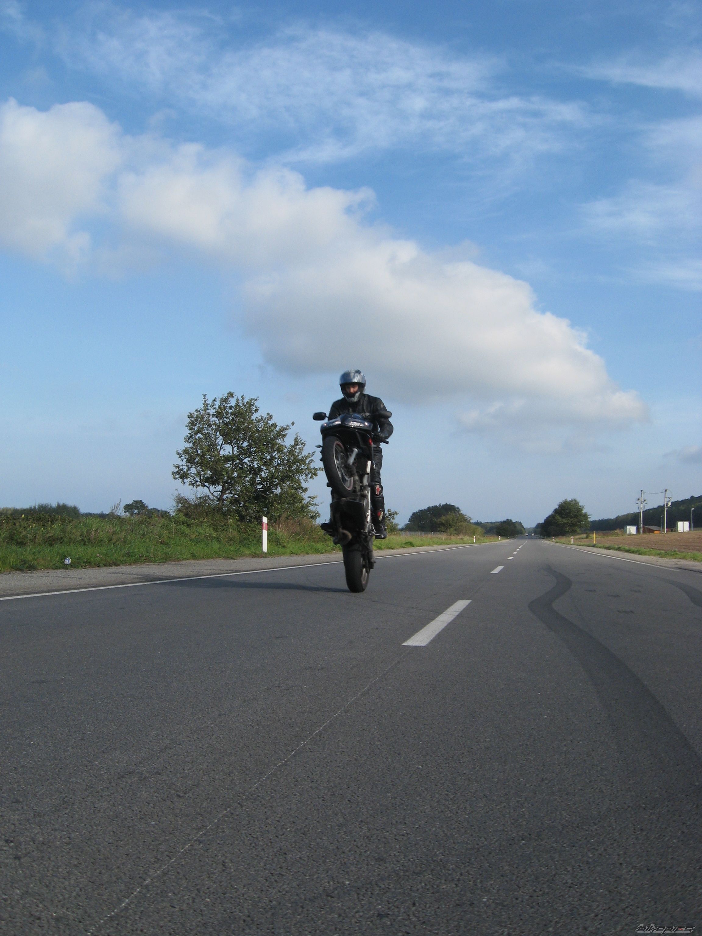 Photo 2288857
