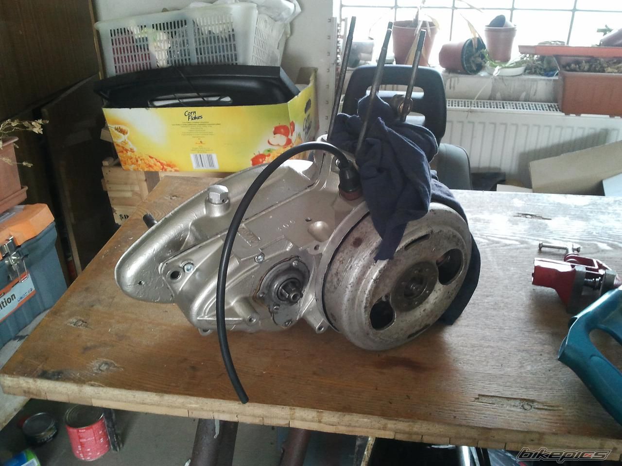 Photo 2288926
