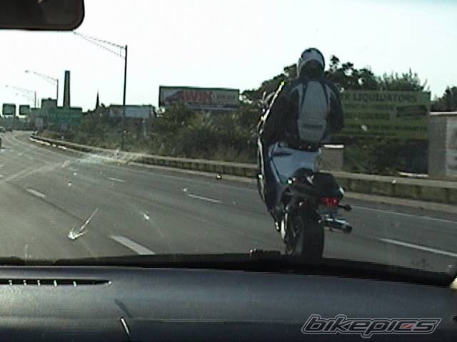 Photo 228894