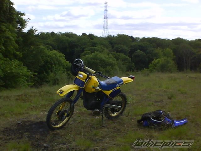 Photo 2288981