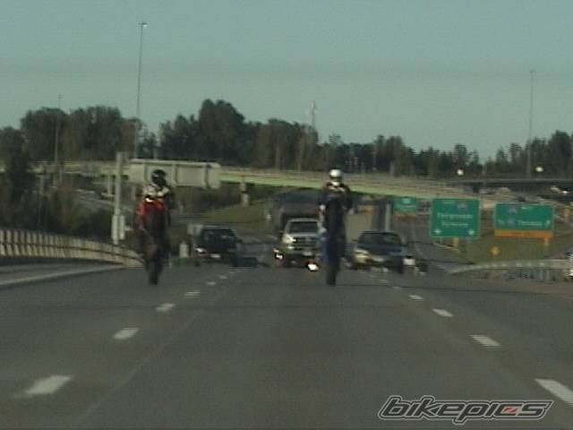 Photo 228903