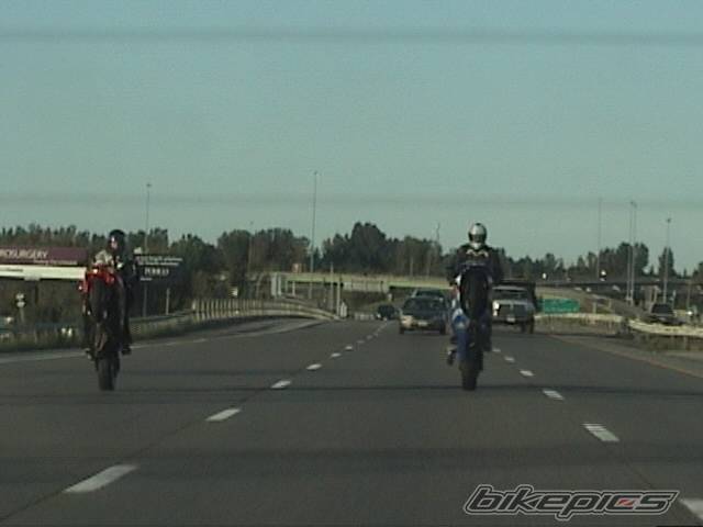 Photo 228904