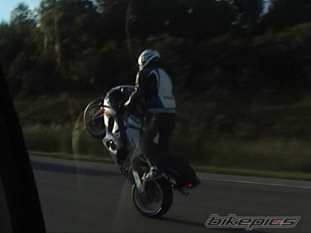 Photo 228907