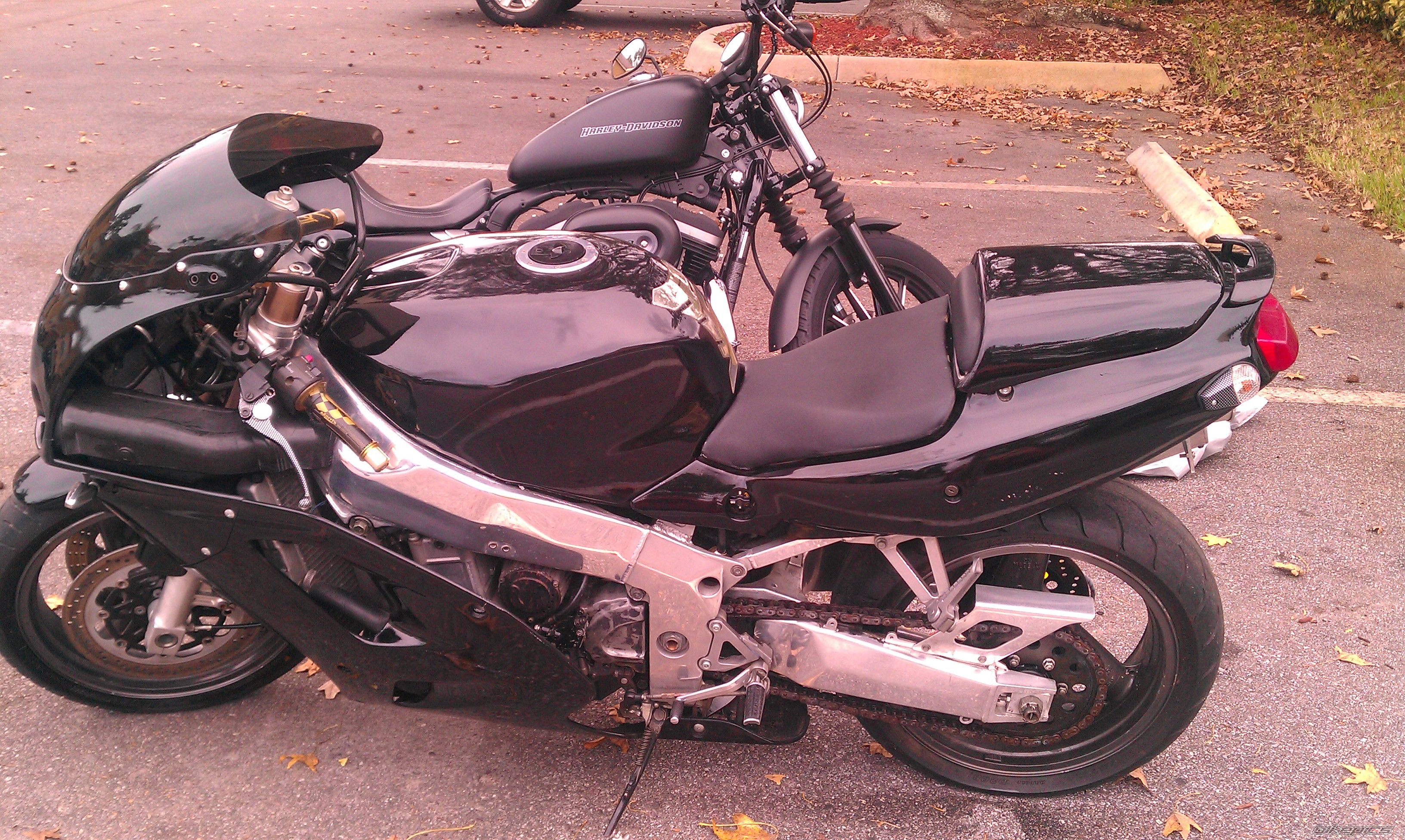 Photo 2289078