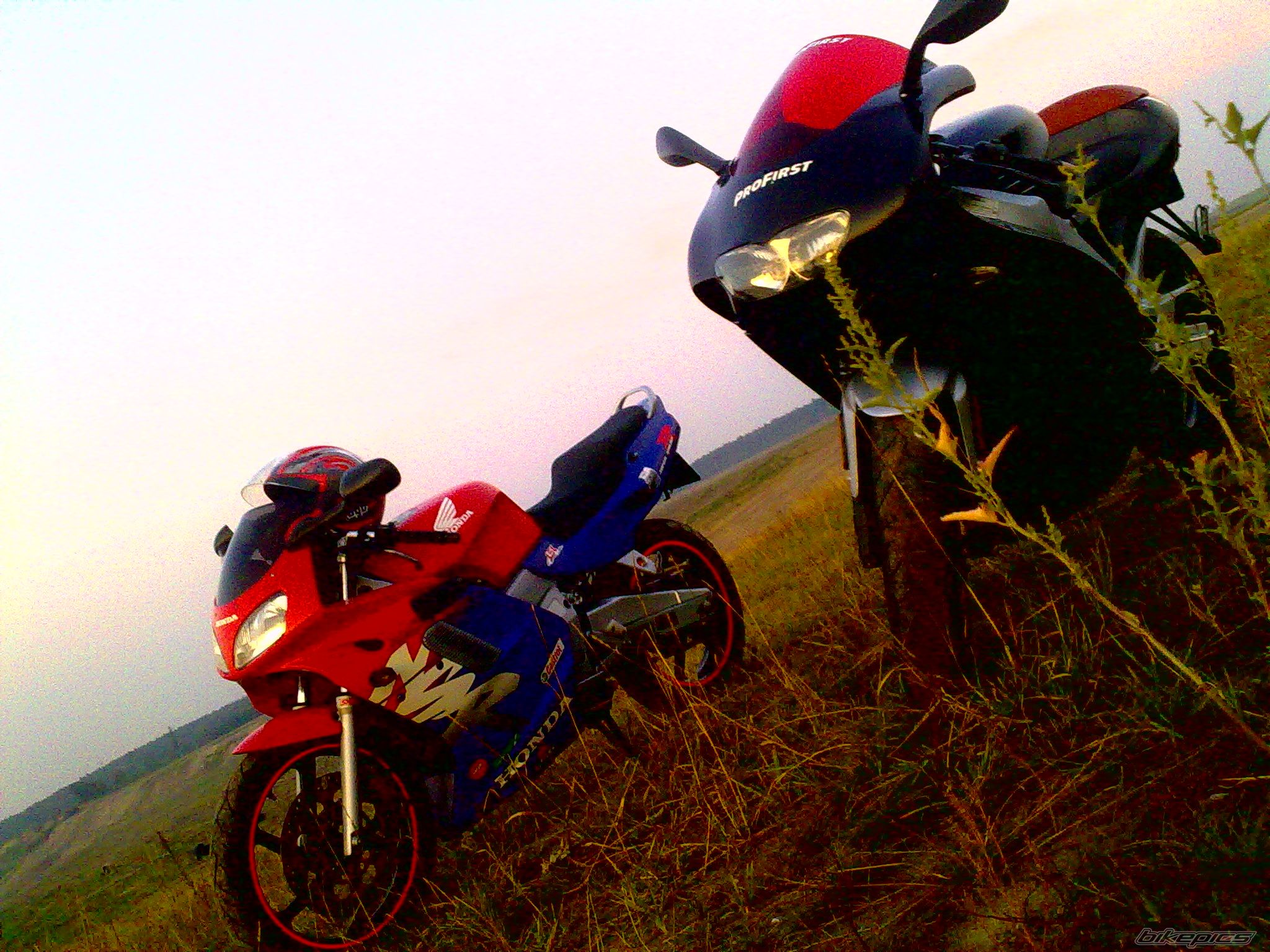 Photo 2289149