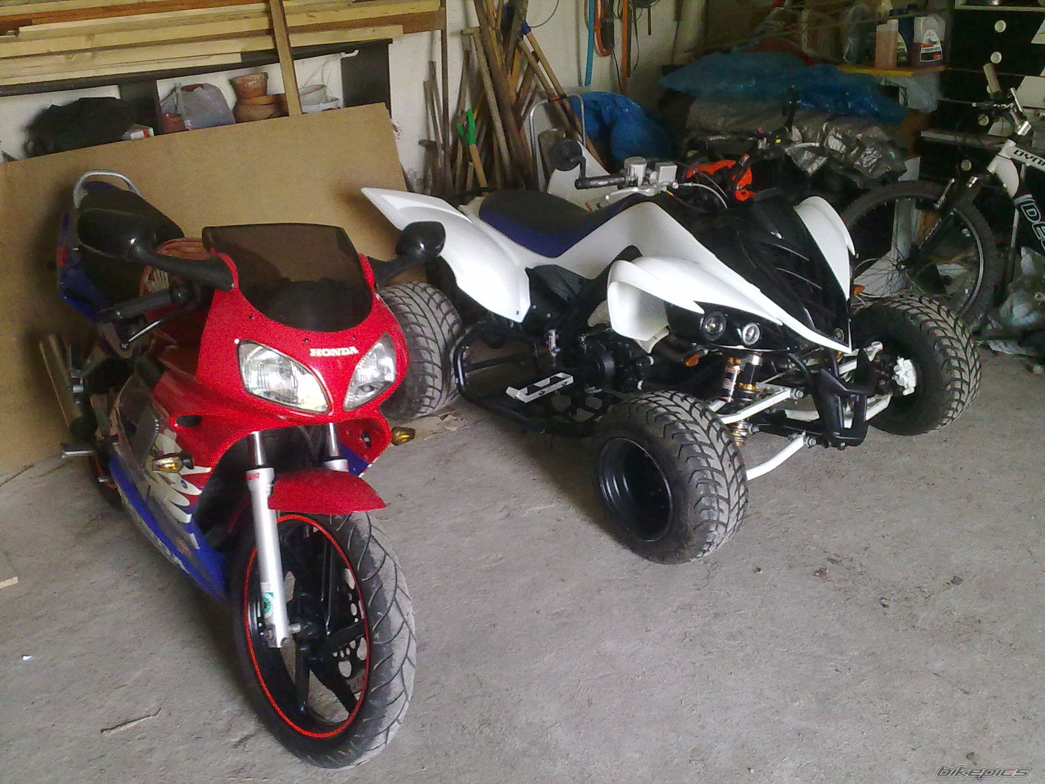 Photo 2289150