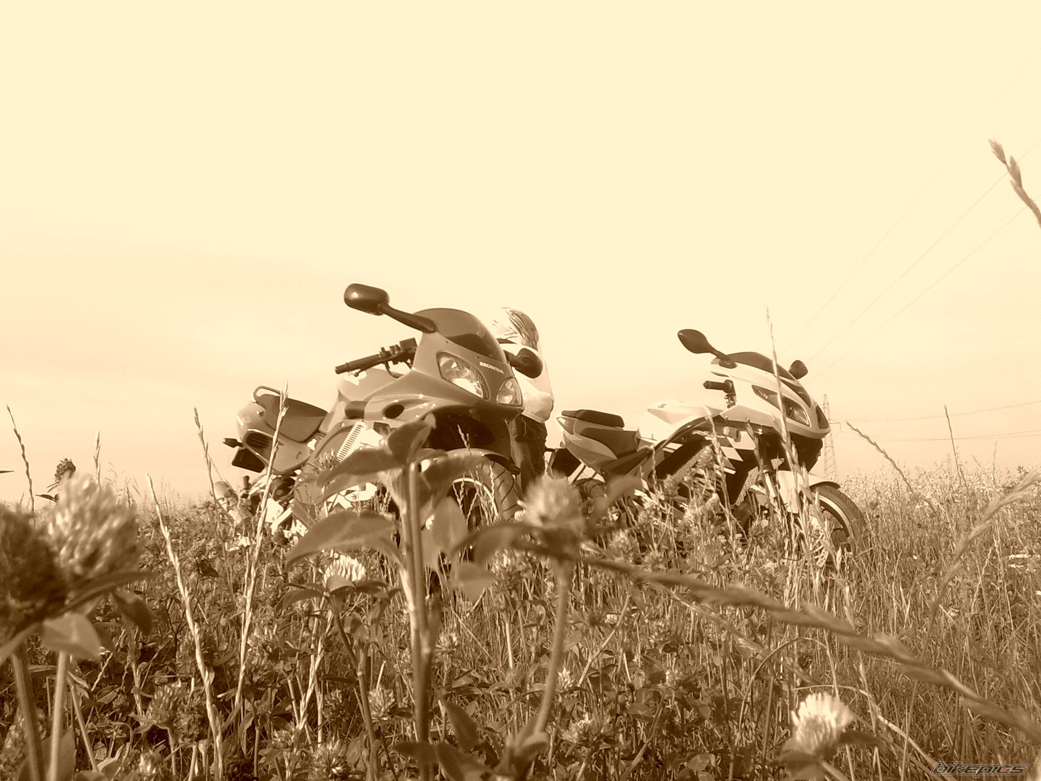 Photo 2289151