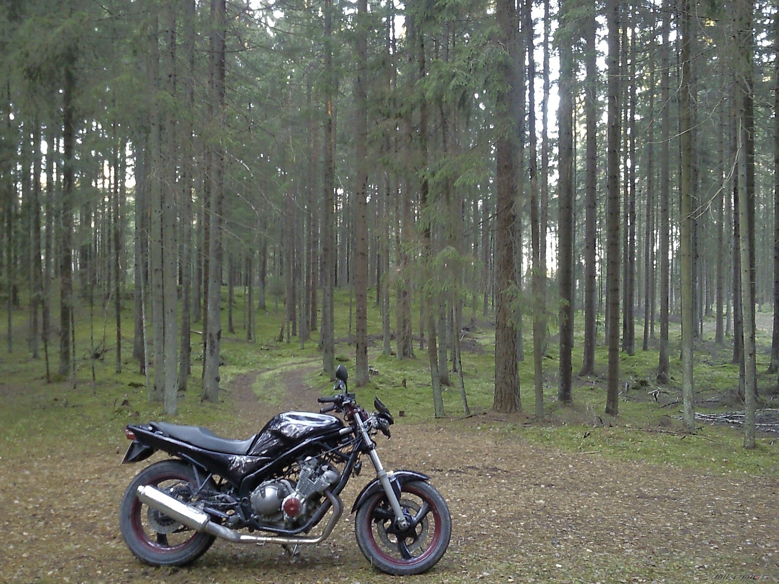 Photo 2289152