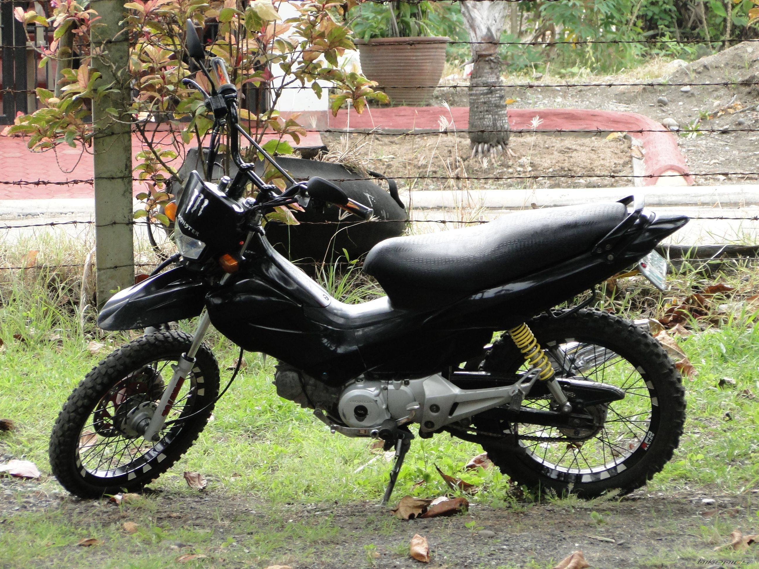 Photo 2289157