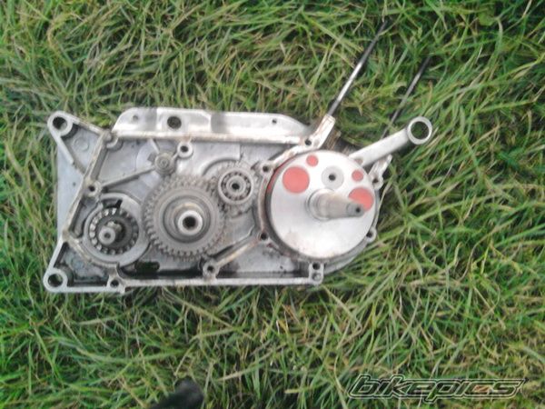 Photo 2289238