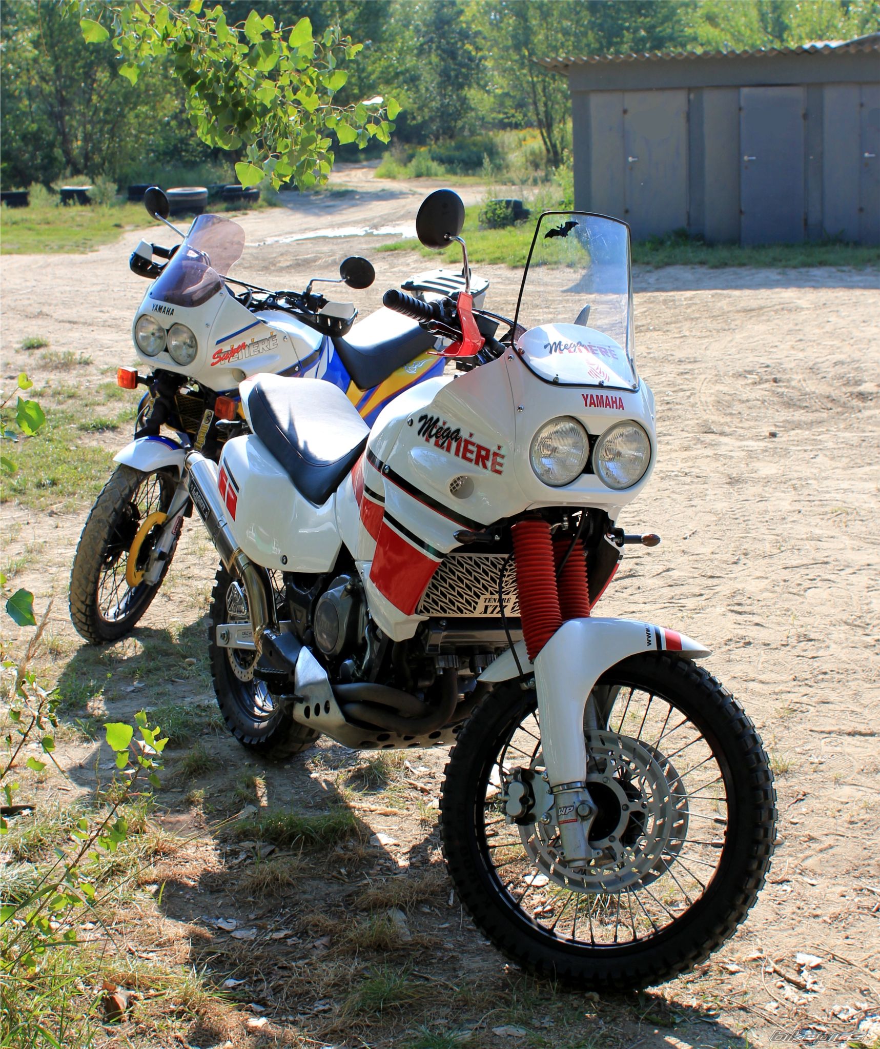 Photo 2289279