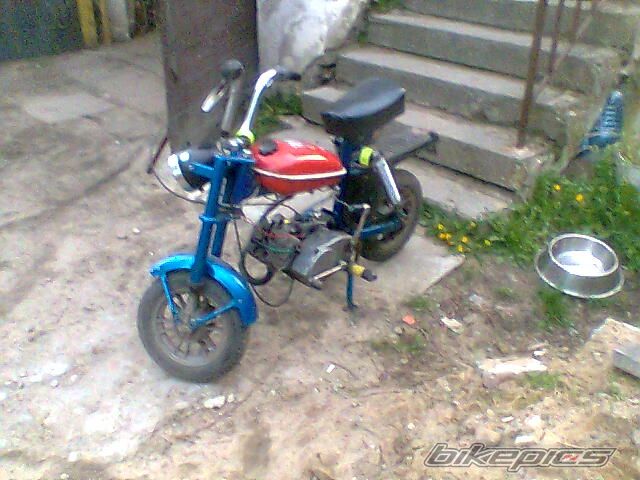 Photo 2289352