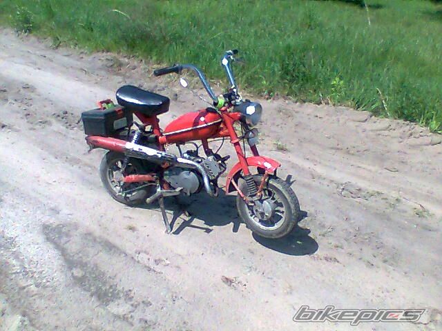 Photo 2289353