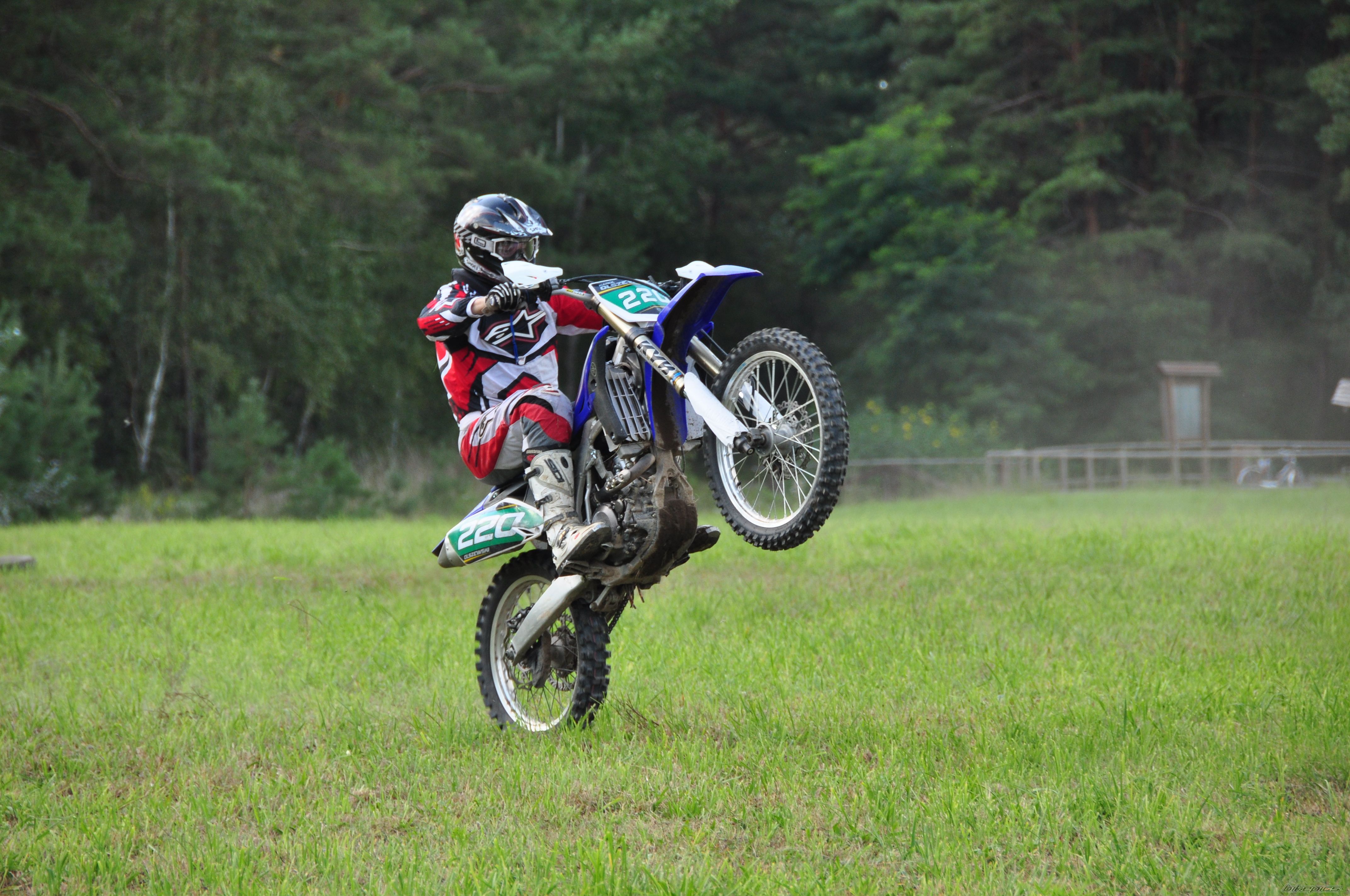 Photo 2289393