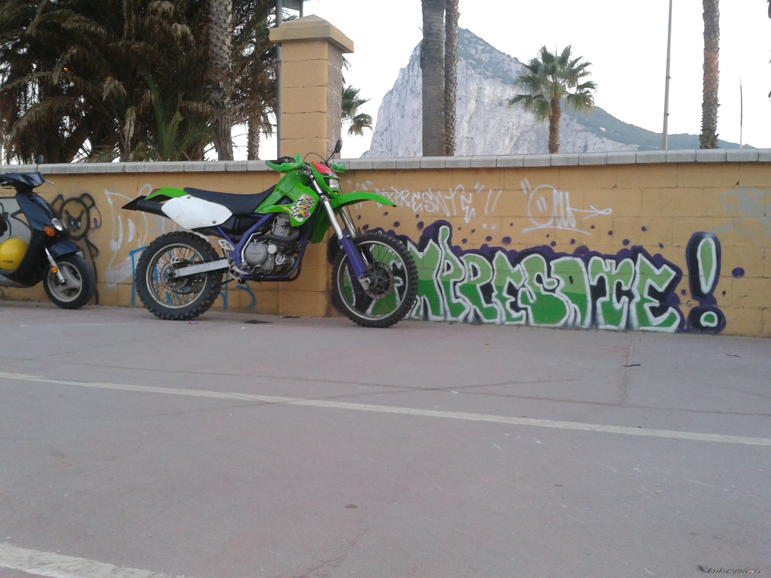 Photo 2289496