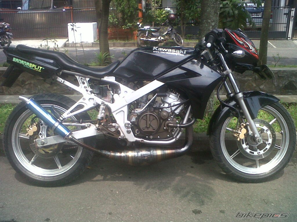 Photo 2289539