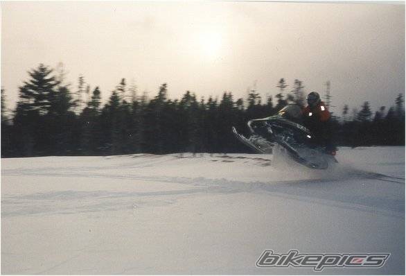 Photo 228954