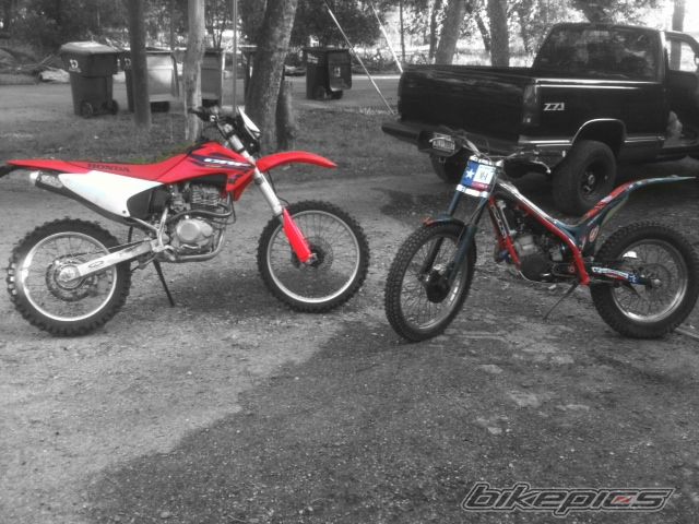 Photo 2289545