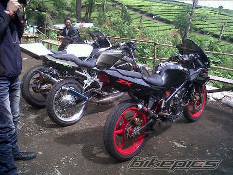 Photo 2289553