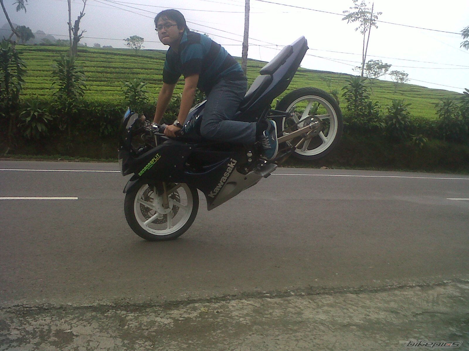 Photo 2289560