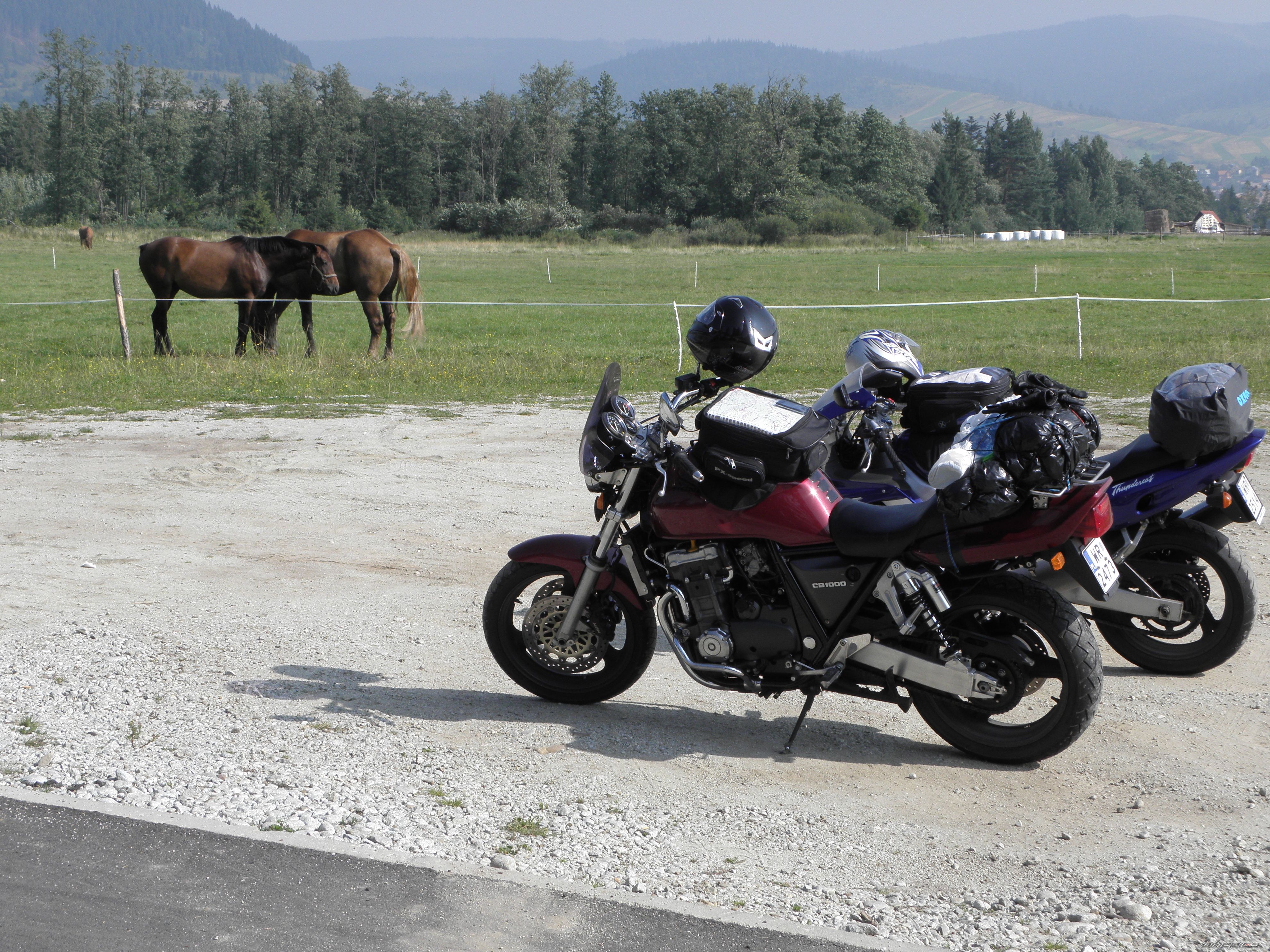 Photo 2289643