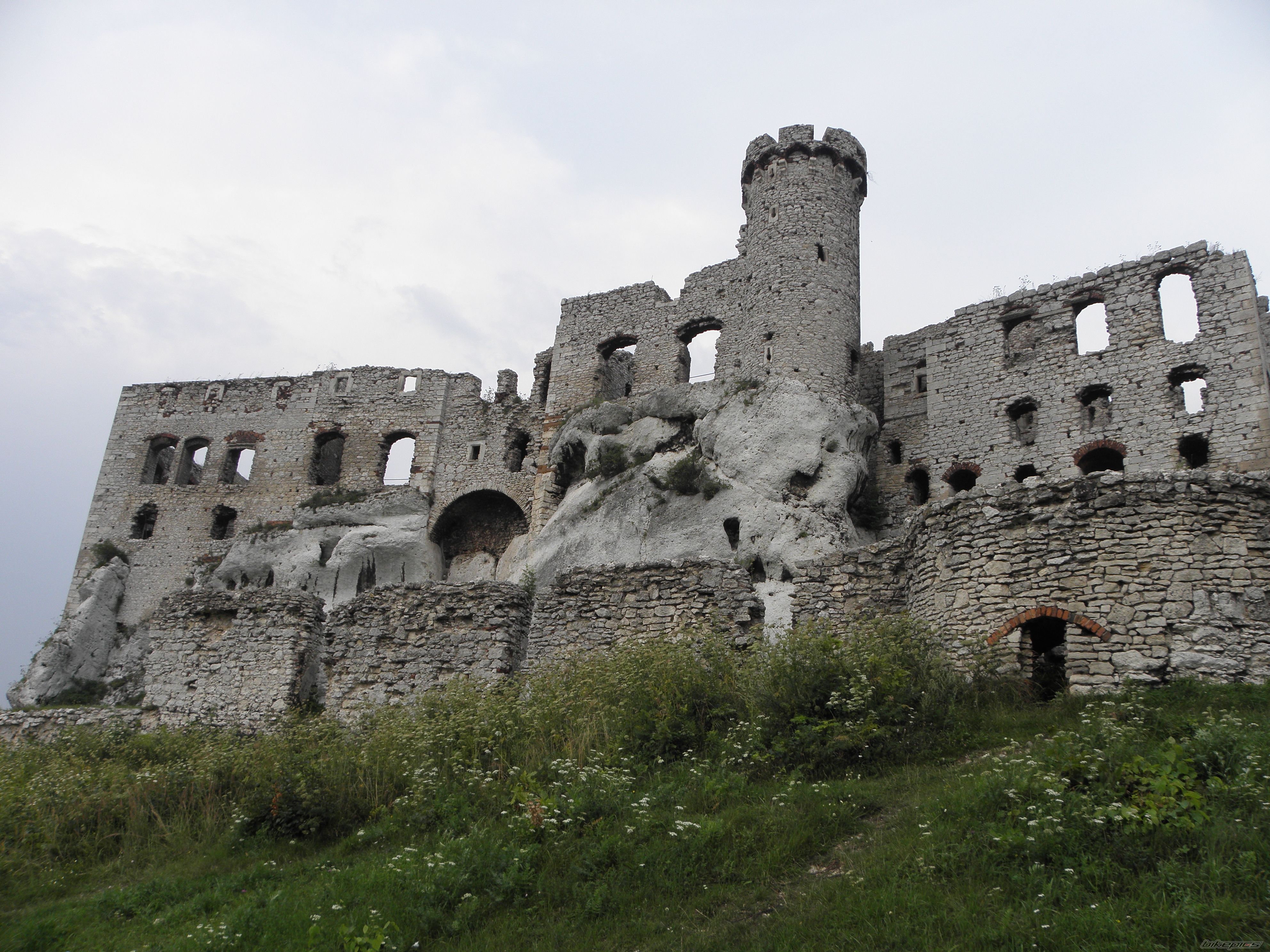 Photo 2289652