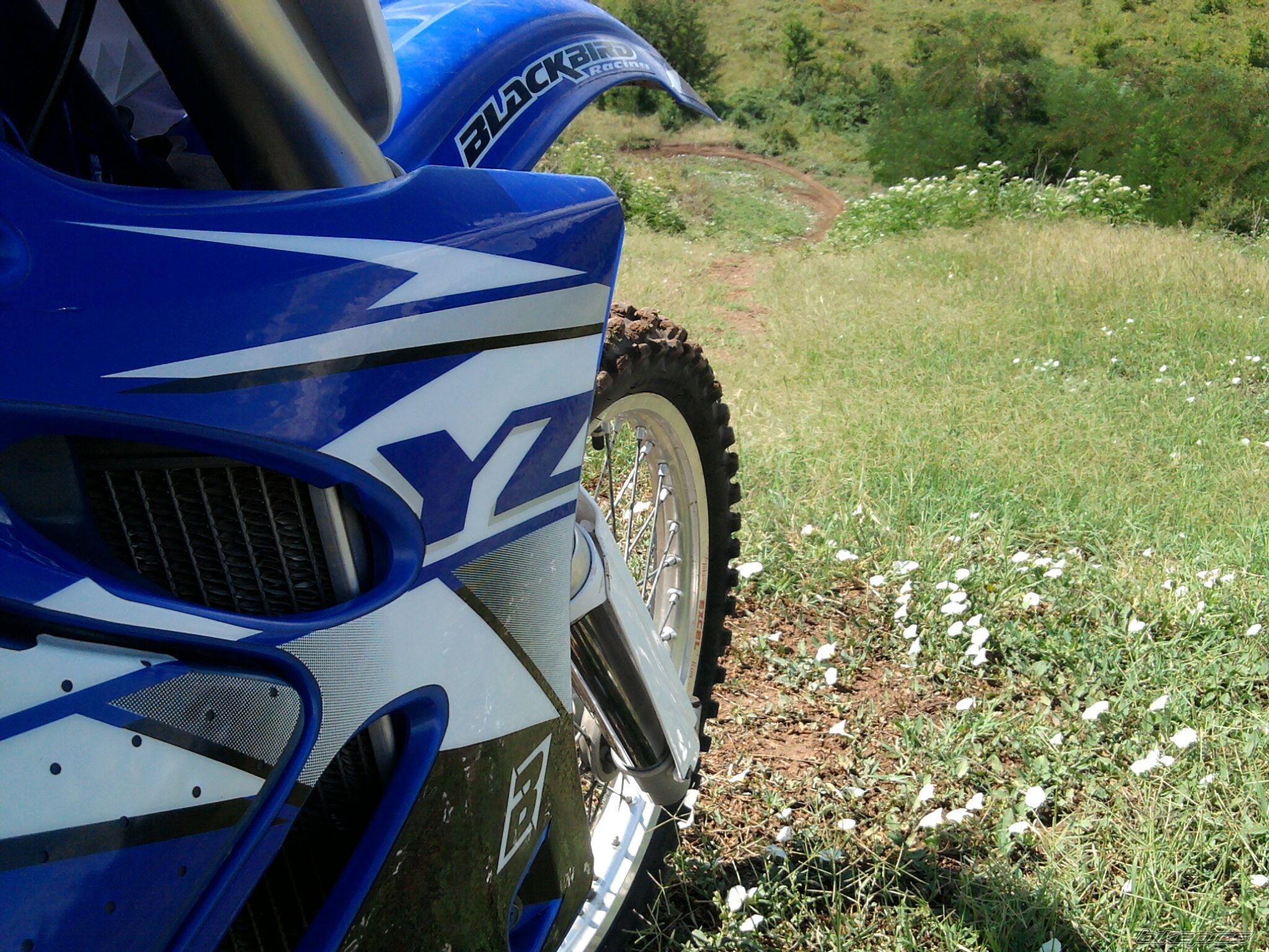Bike Photo 2289719