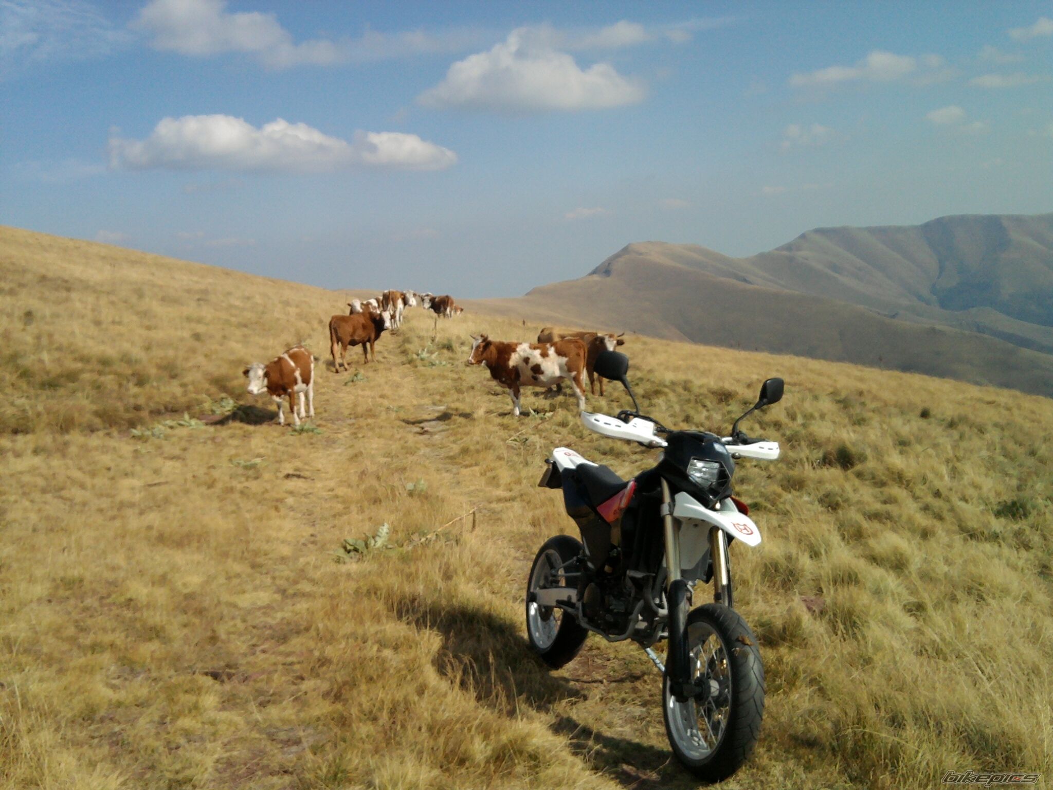 Bike Photo 2289736