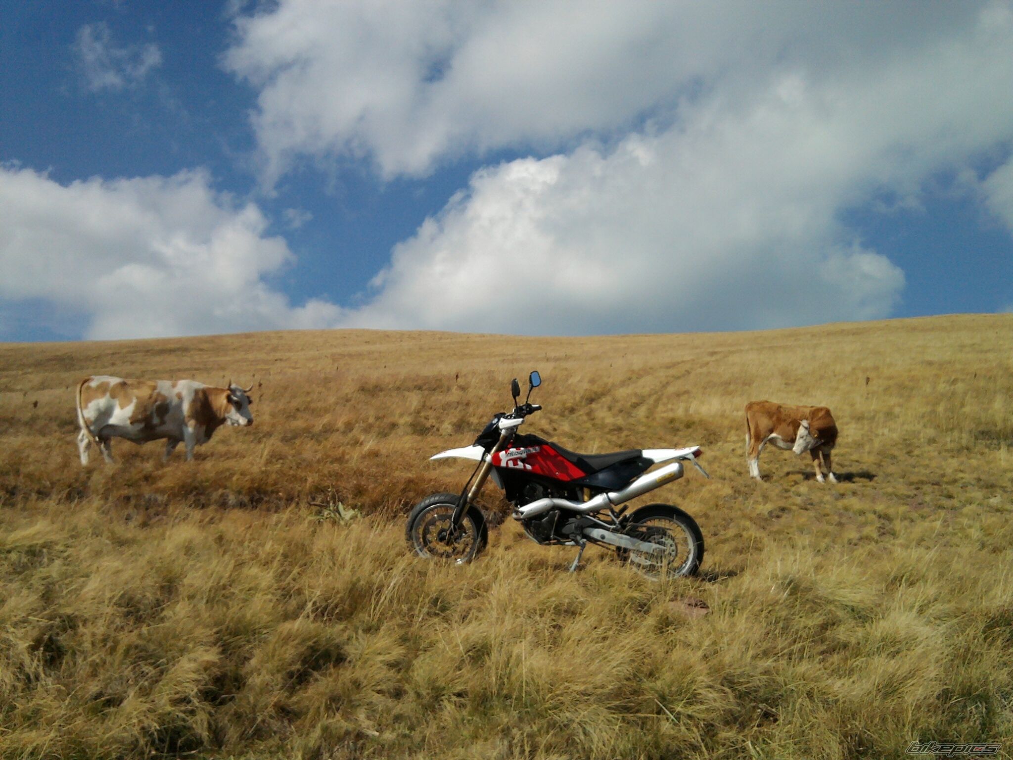 Photo 2289737