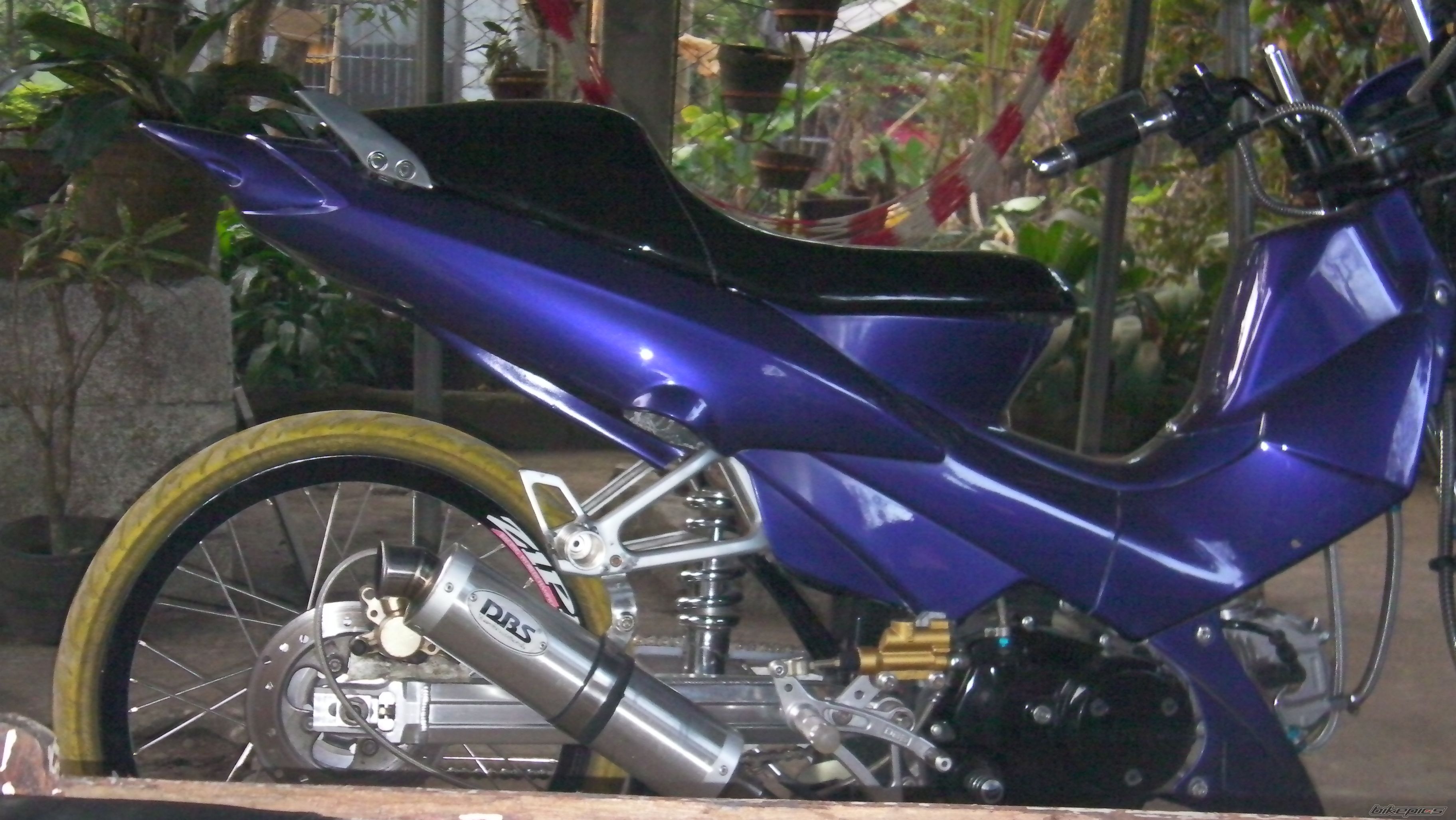 Photo 2289754