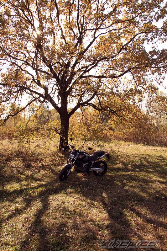 Bike Photo 2289914