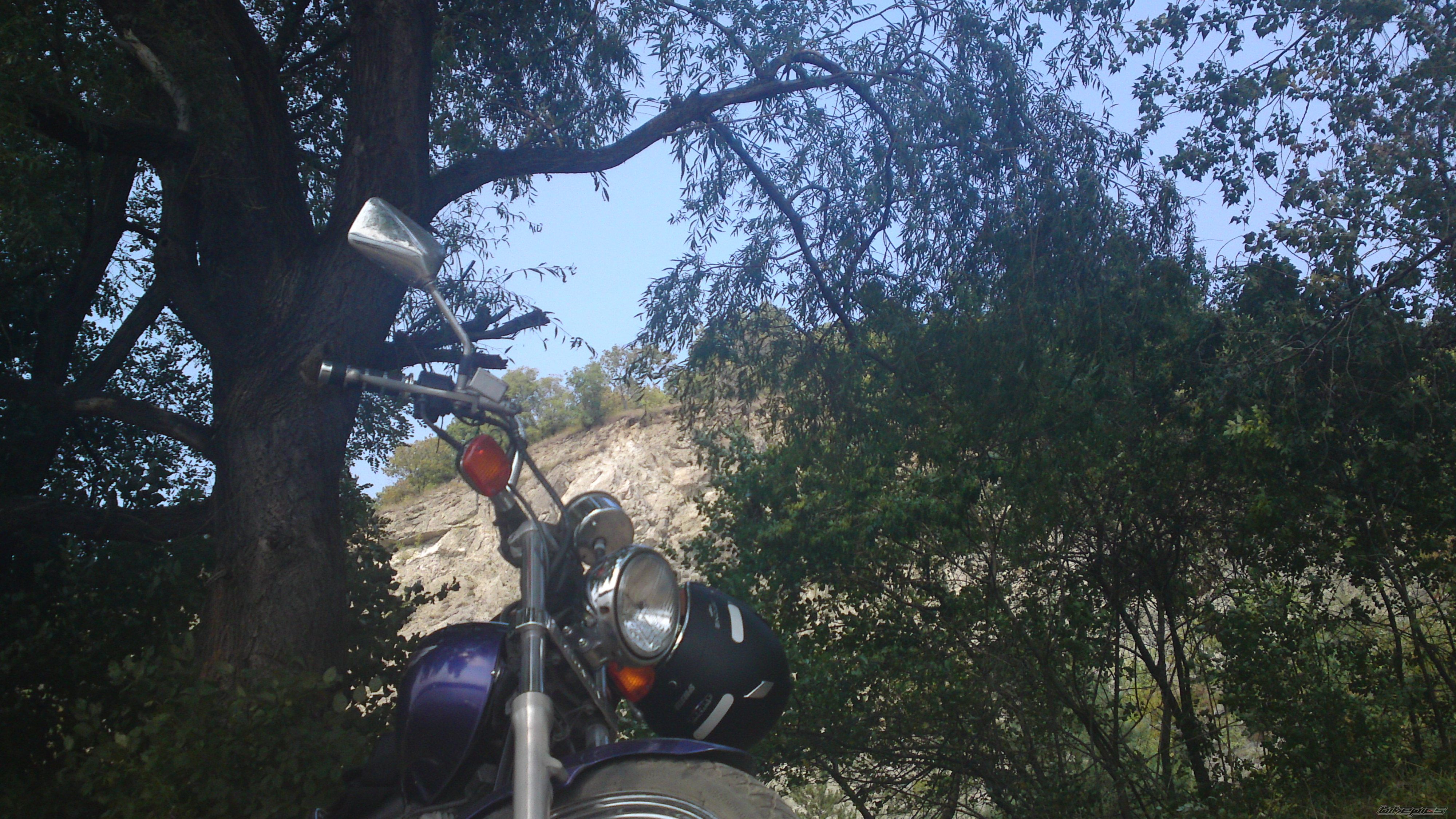 Photo 2289931