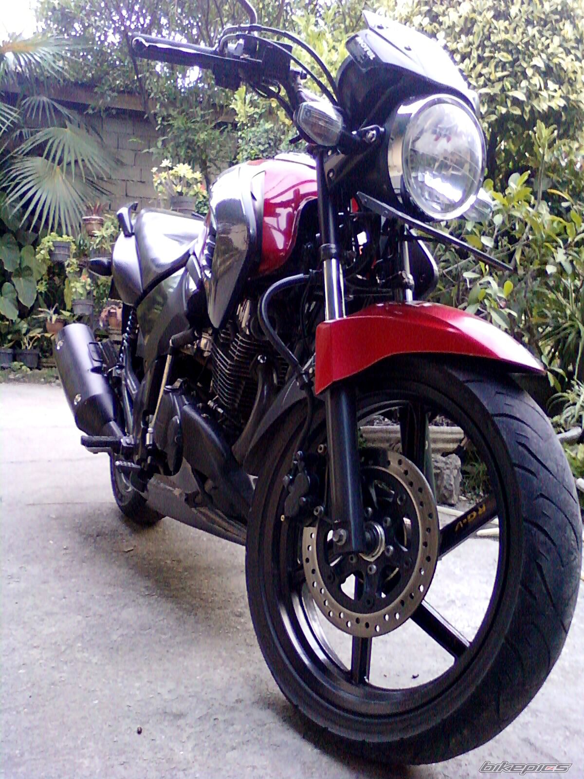 Photo 2289959