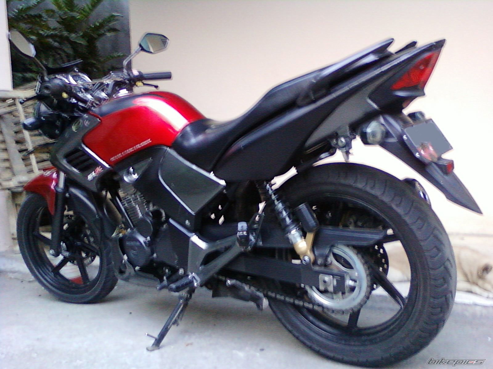 Photo 2289966