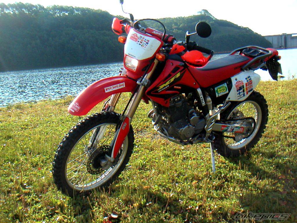 Bike Photo 229011