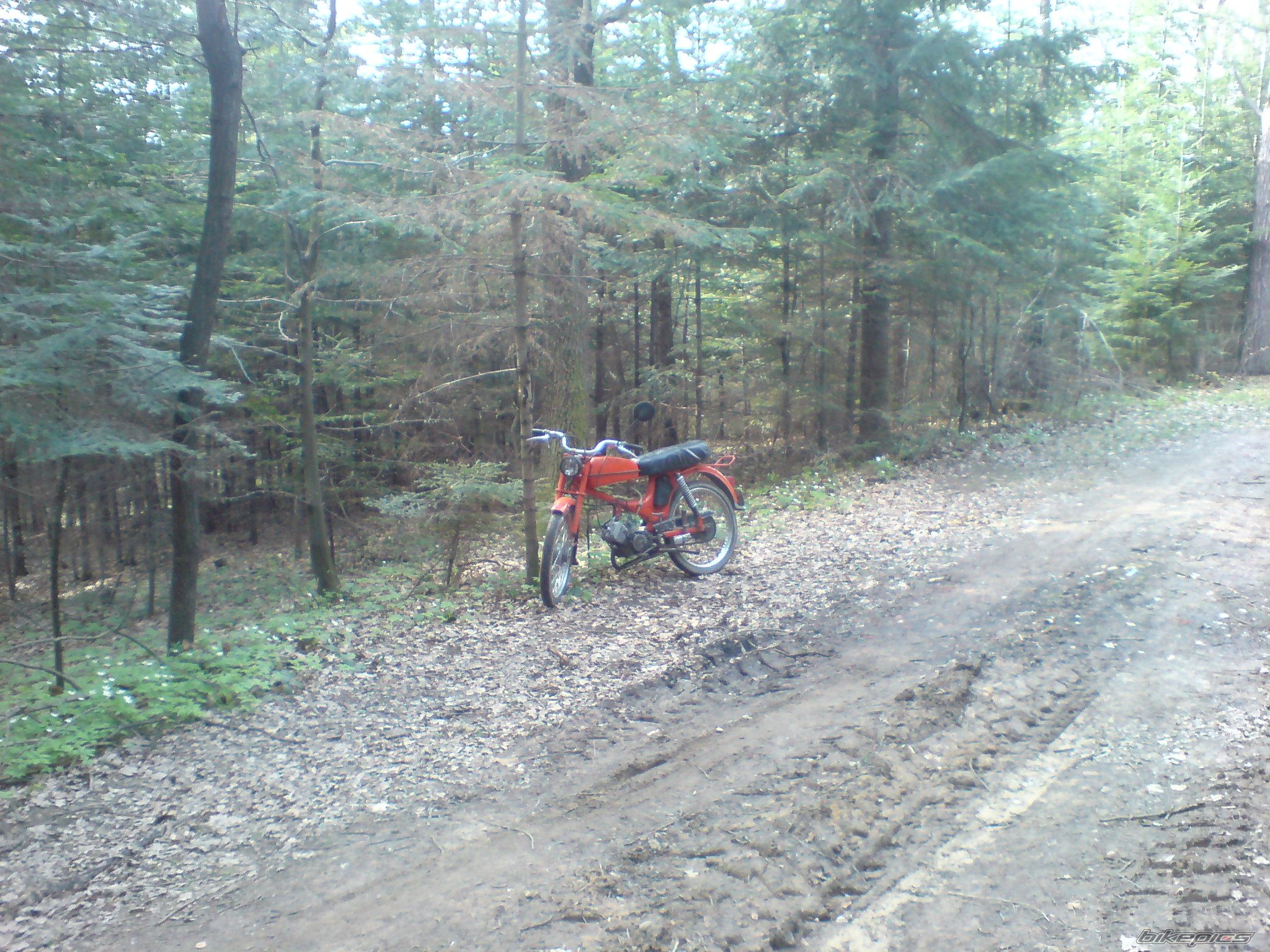 Photo 2290114