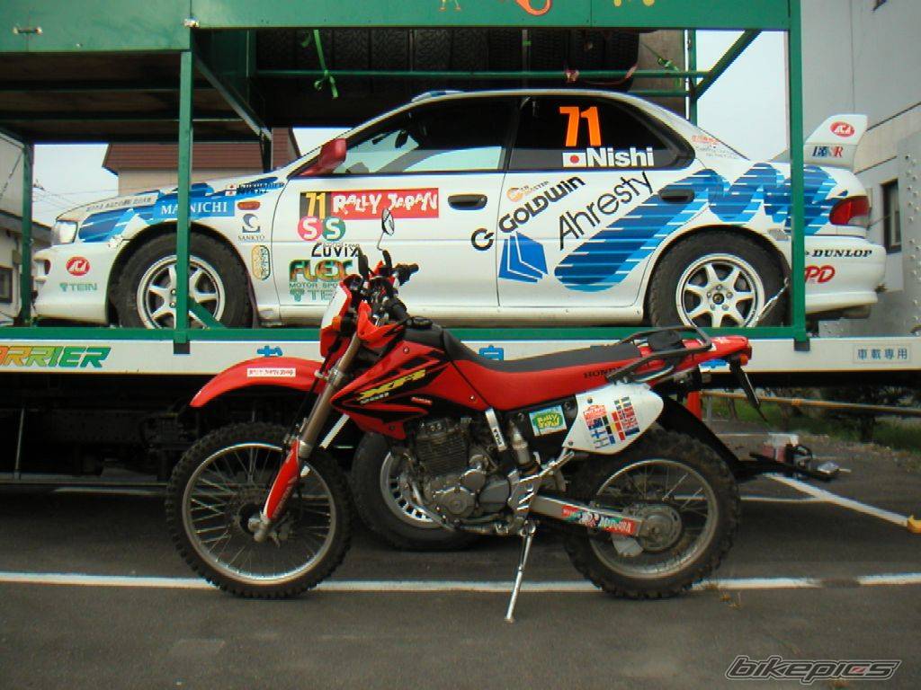 Photo 229012