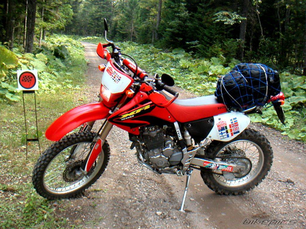Bike Photo 229013
