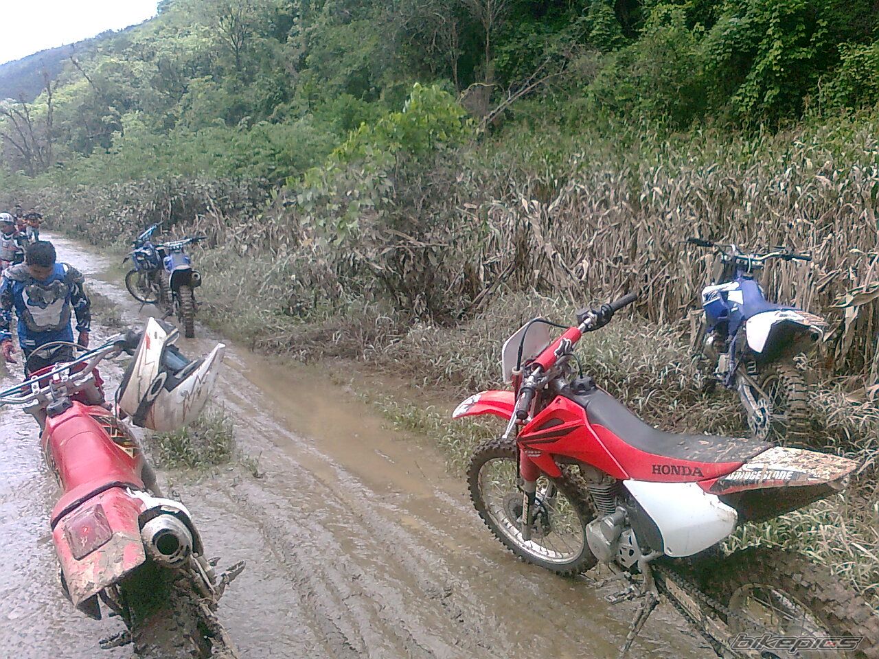 Photo 2290271
