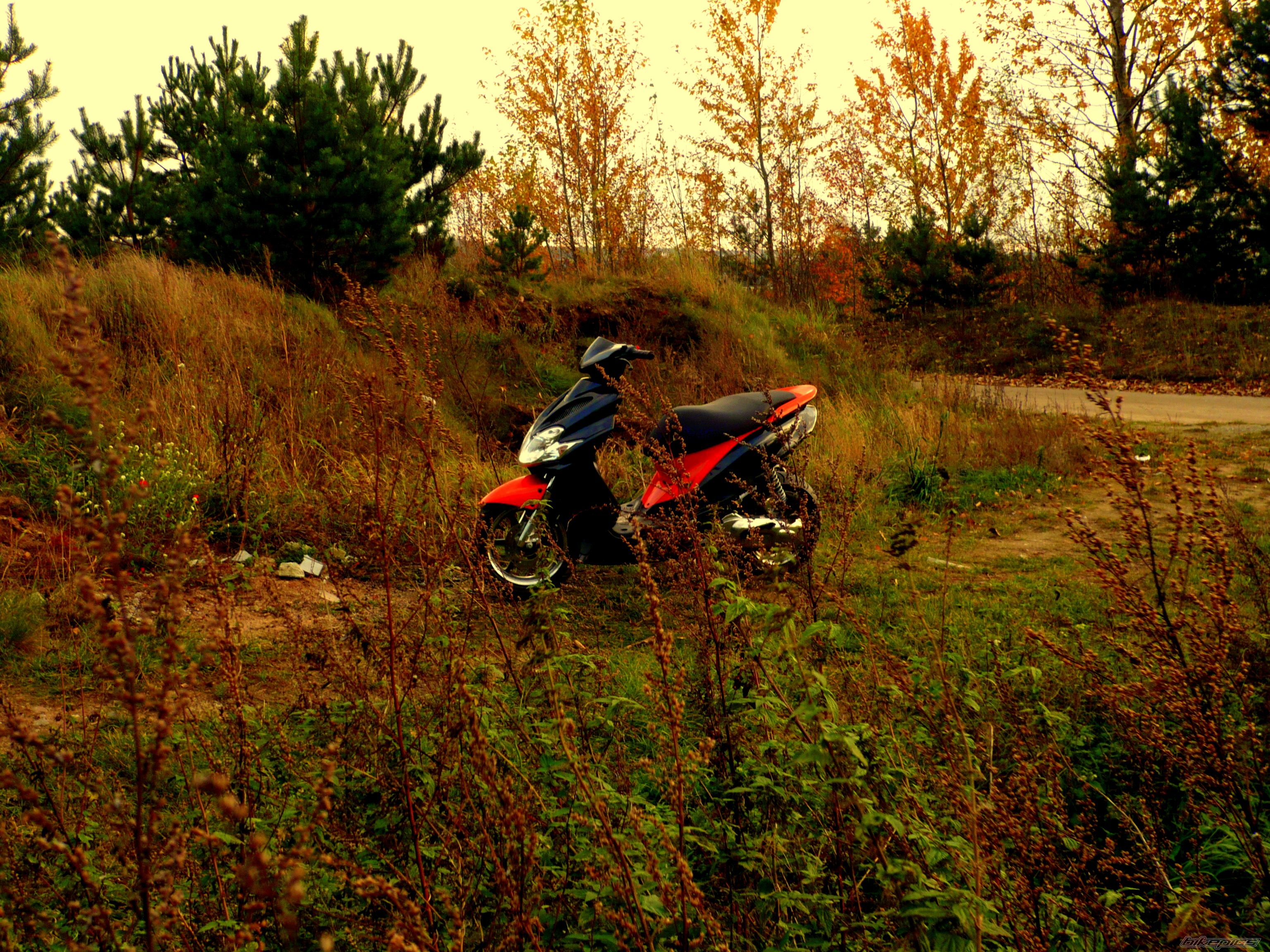 Photo 2290295