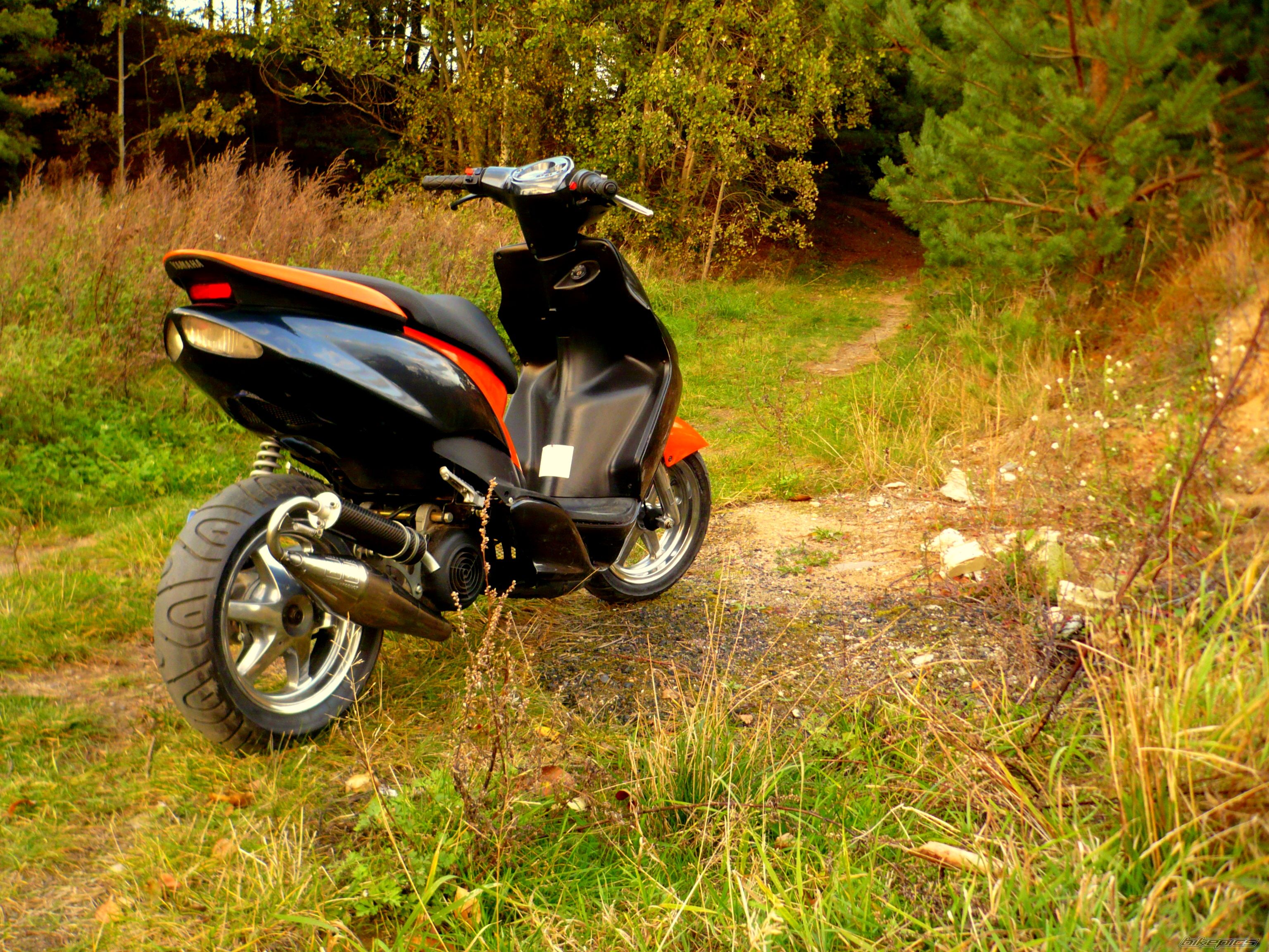 Photo 2290296