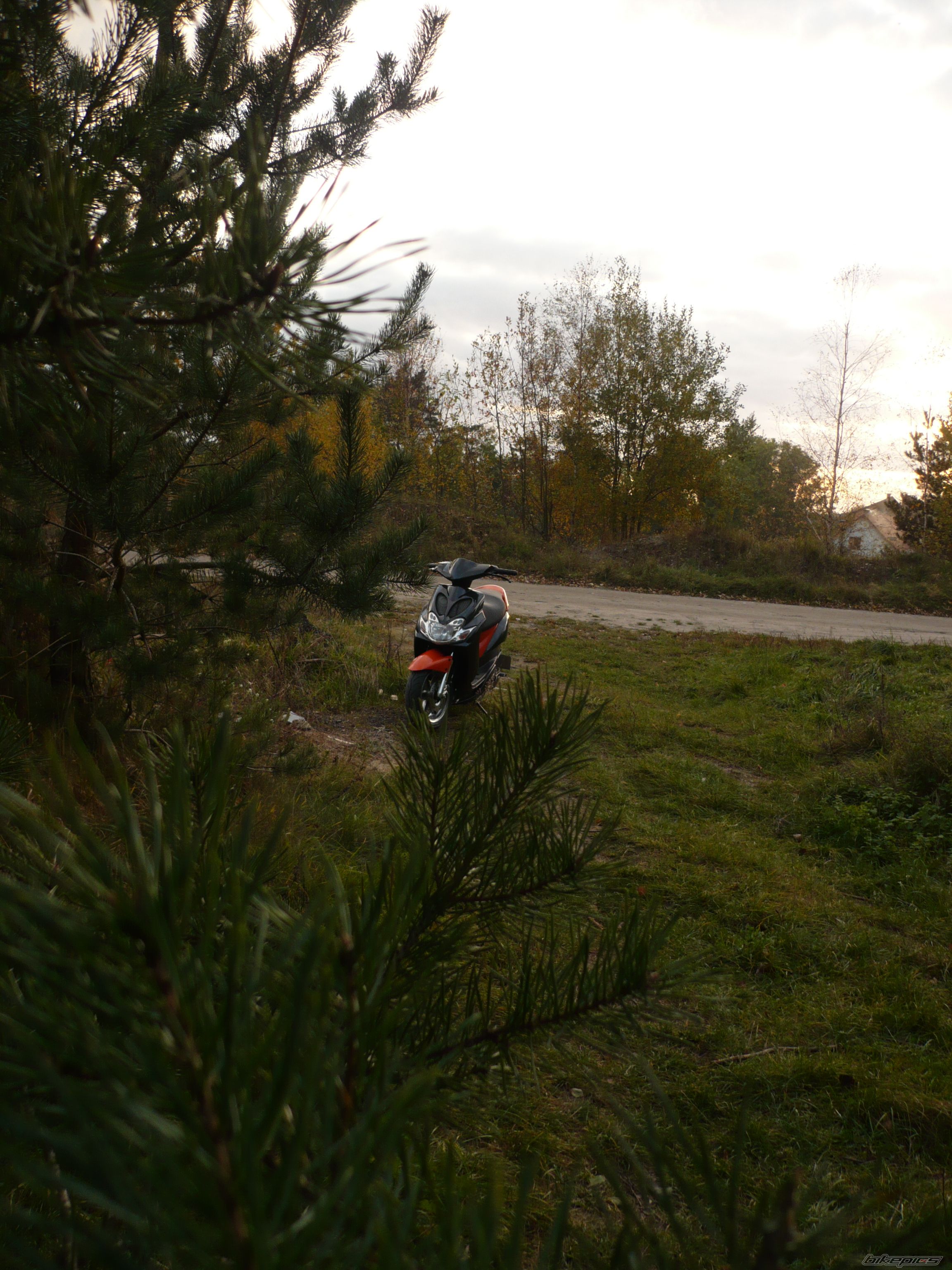 Photo 2290307