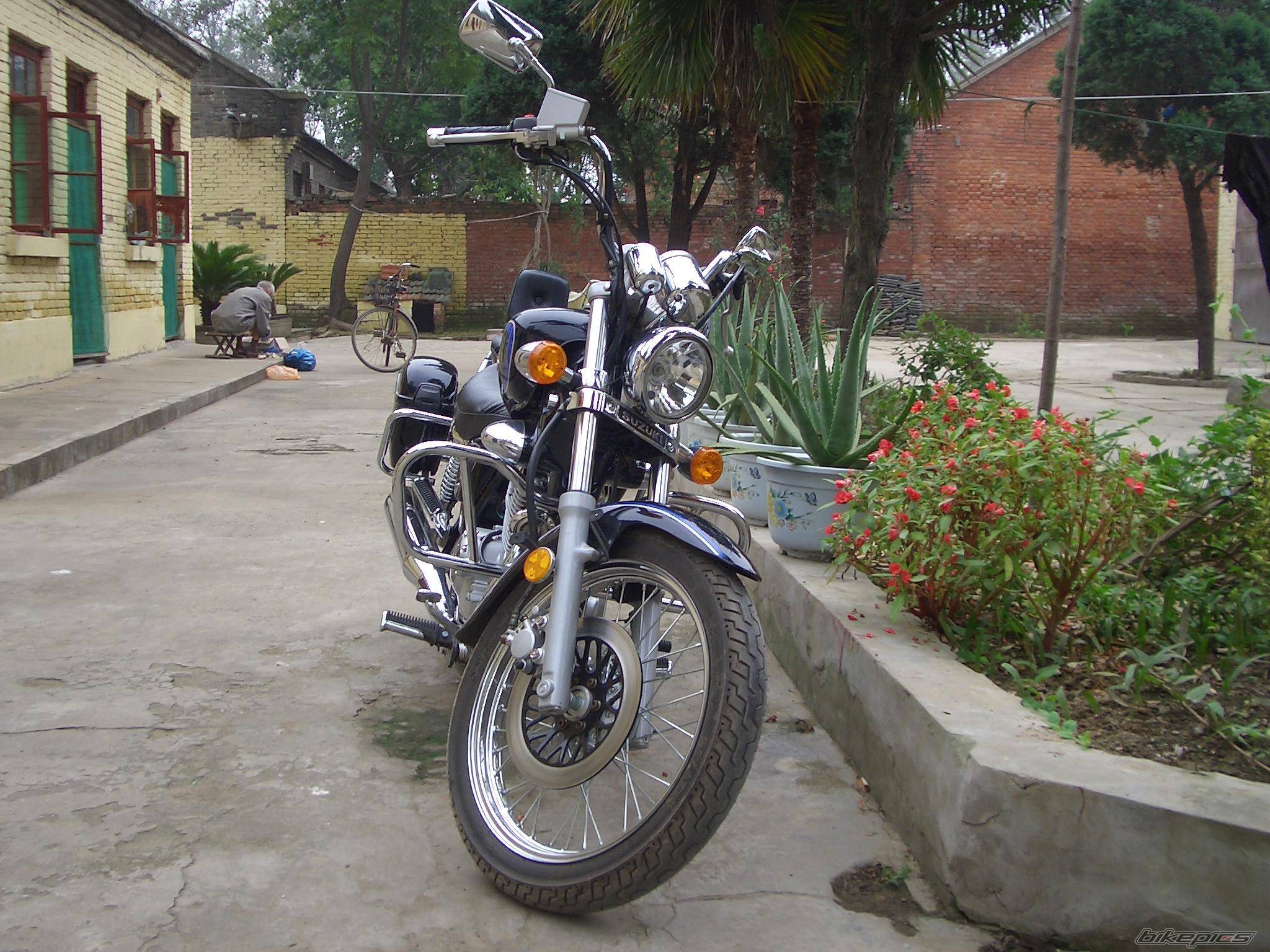 Photo 229037