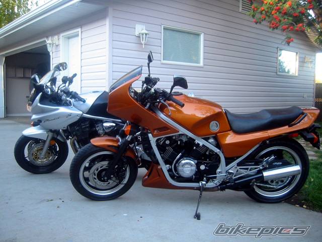 Photo 229040