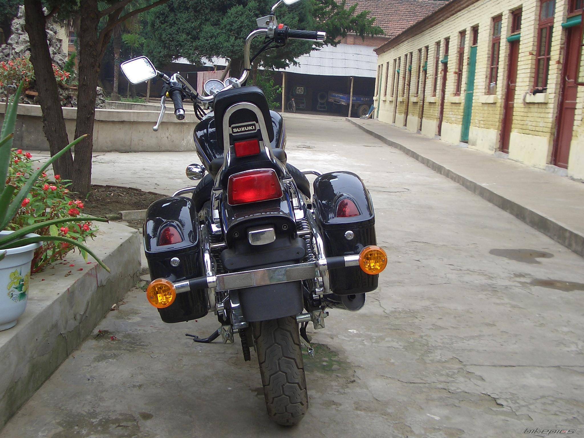 Photo 229042
