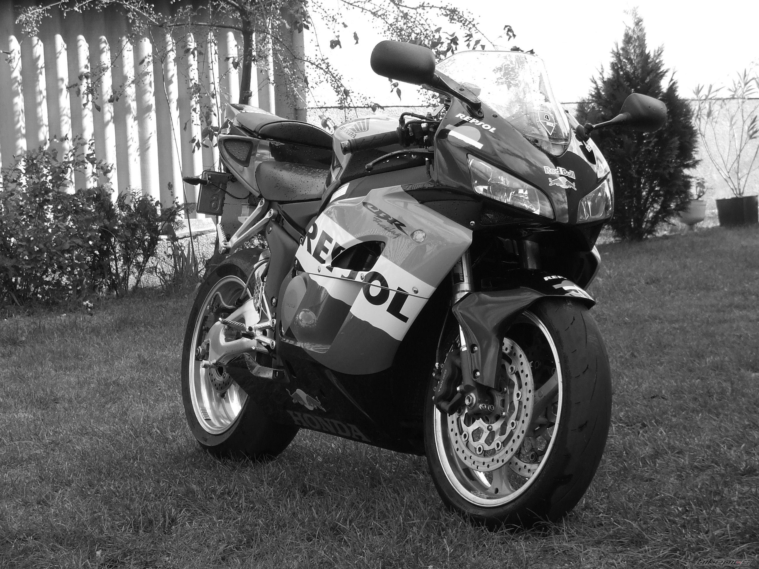 Photo 2290439